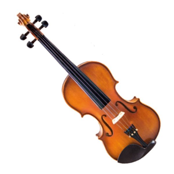 Violin Student Model Spruce Top