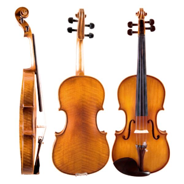 Violin Middle Grade Black Jujube Fittings