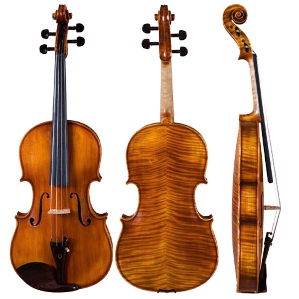 Viola High Grade