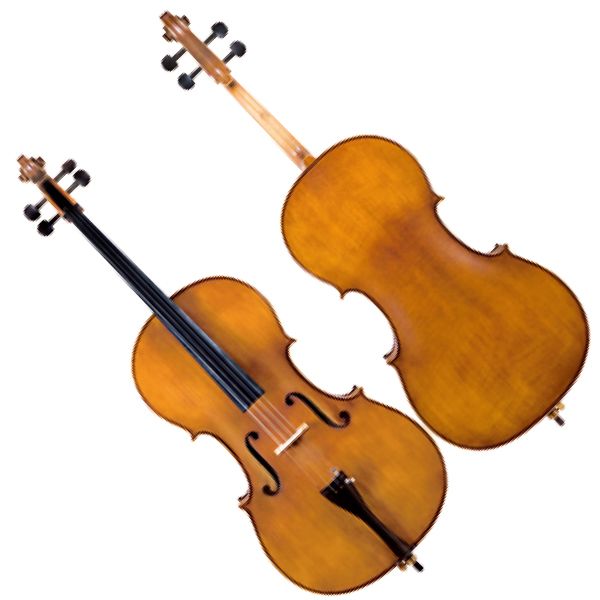 Cello Student Model Maple Sides & Back