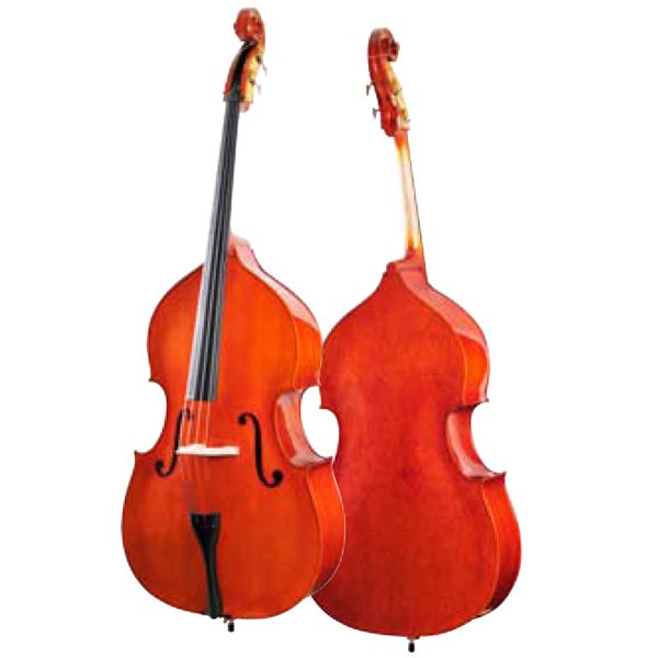 Double Bass Student Model Birdseye Maple Plywood Sides & Back