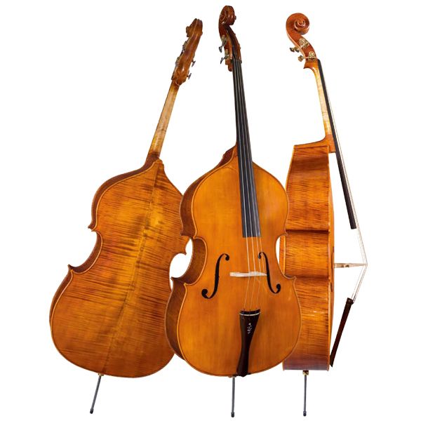 Double Bass High Graded Solo Model