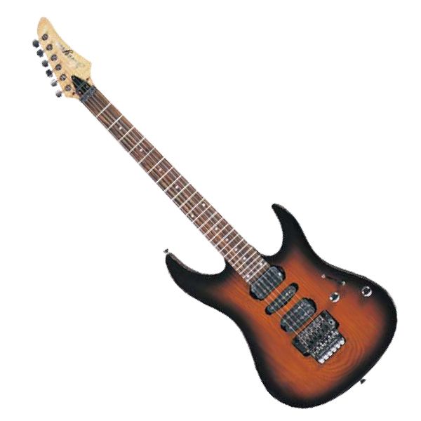 Electric Guitar IBZ S Style