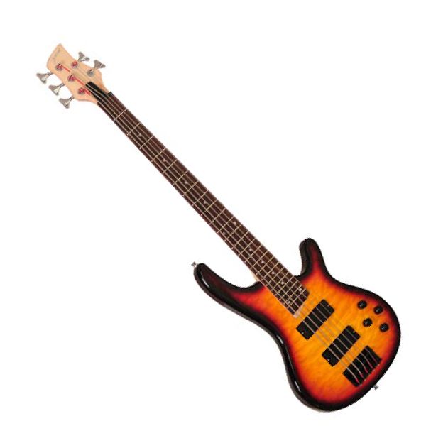 Electric Bass 5-string Type