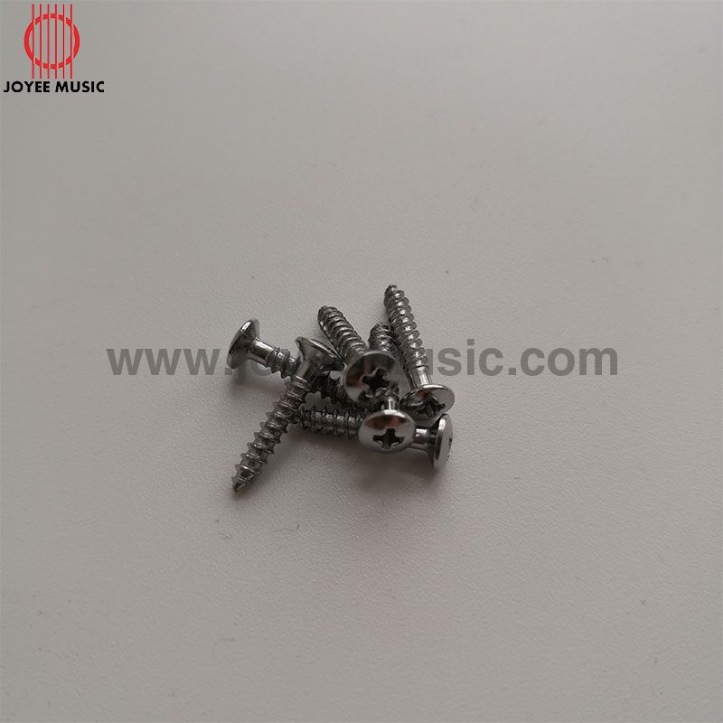 Screws 2.5x18 for Hardtail Bridge and Pickup Ring